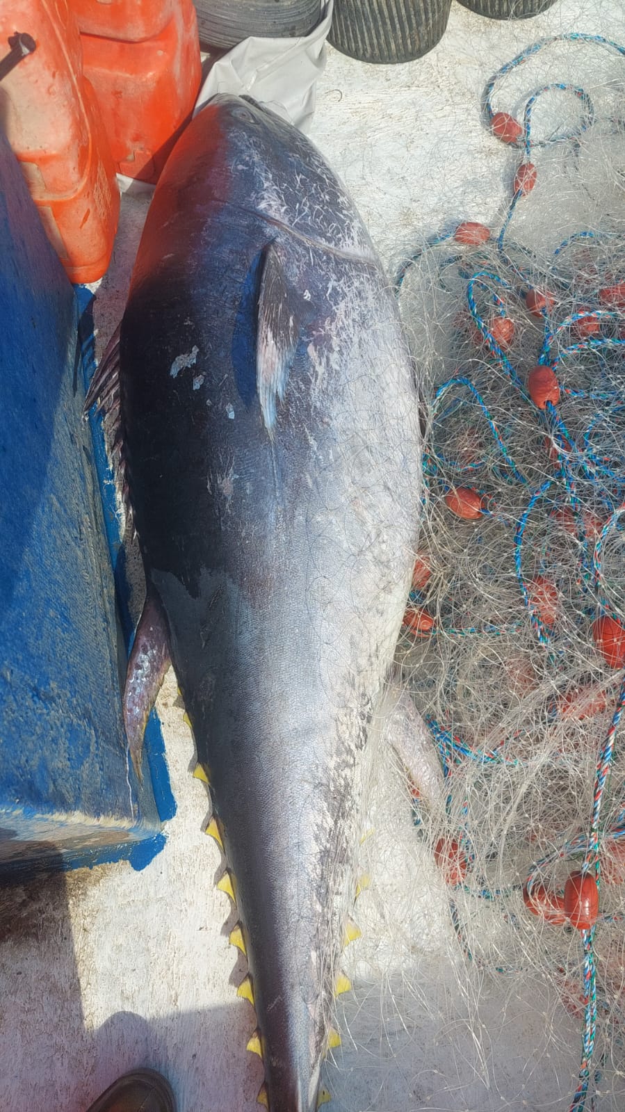 WhatsApp Image 2023-02-22 at 8.22.47 AM (2).jpeg